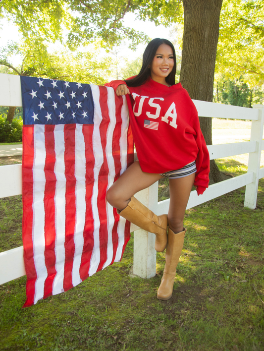 USA FLAG MOCKNECK