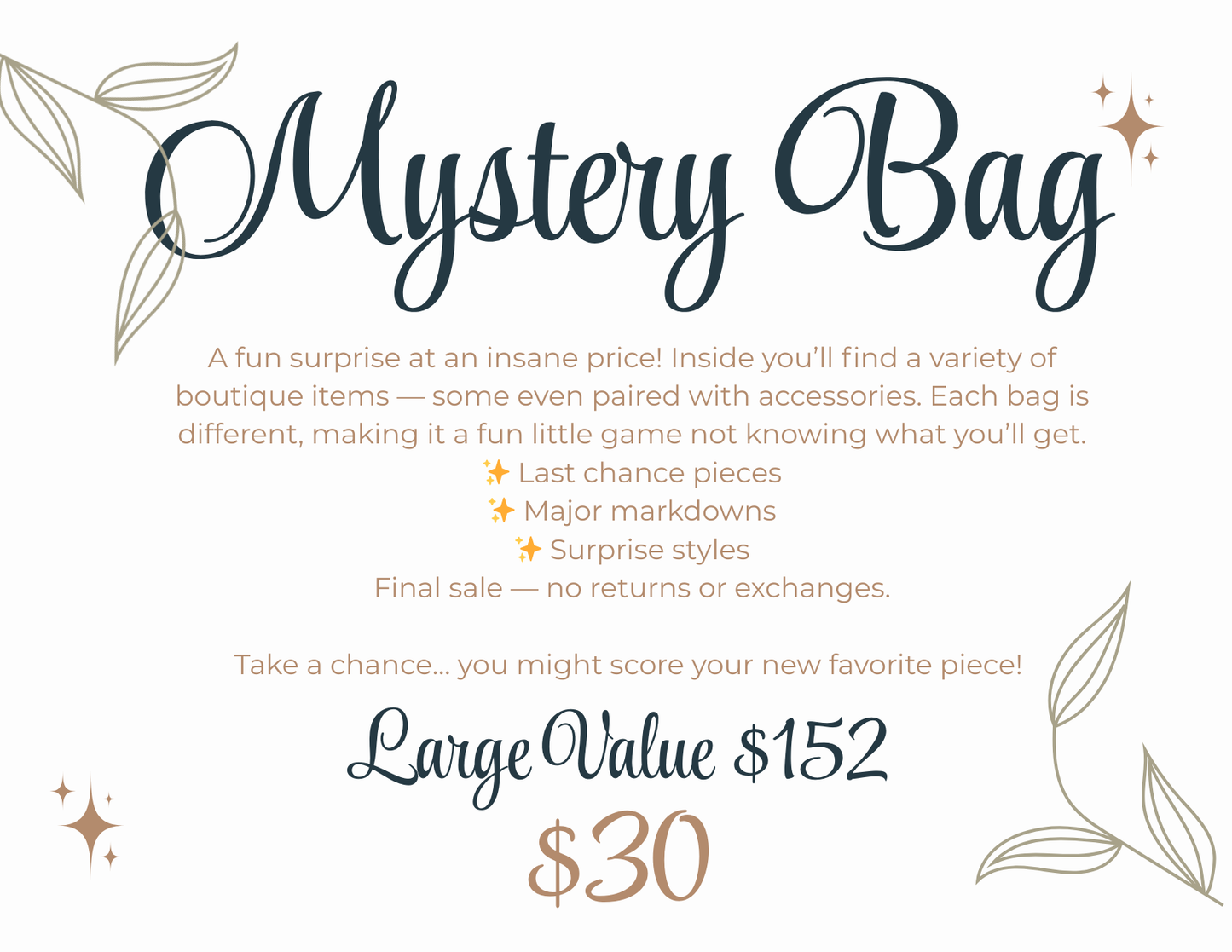 LARGE MYSTERY BAG