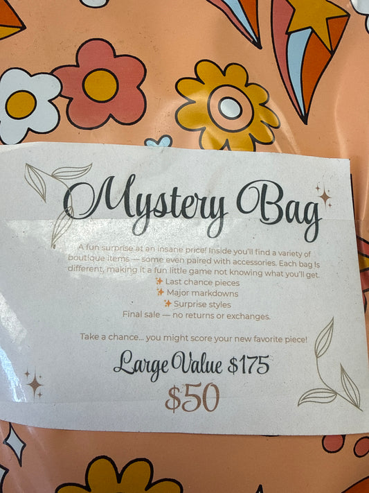 Large Mystery Bag