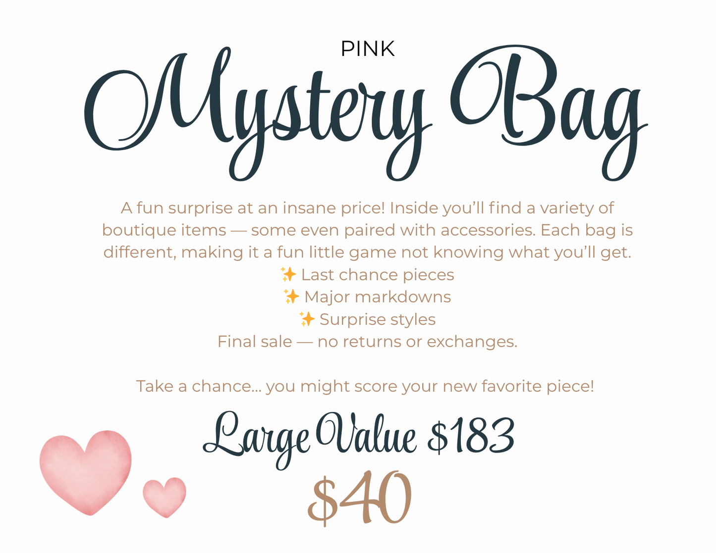 Large Mystery Bag